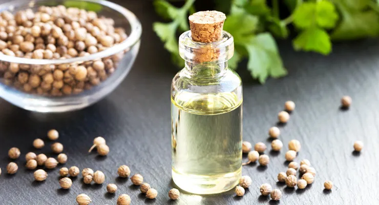 Coriander Oleoresin